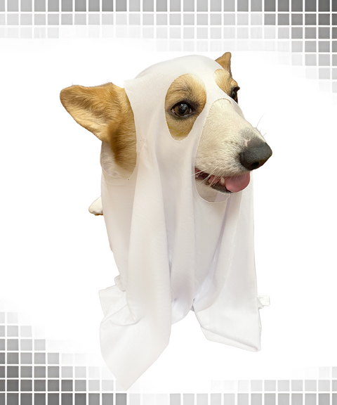 Halloween ghost dog cape hood