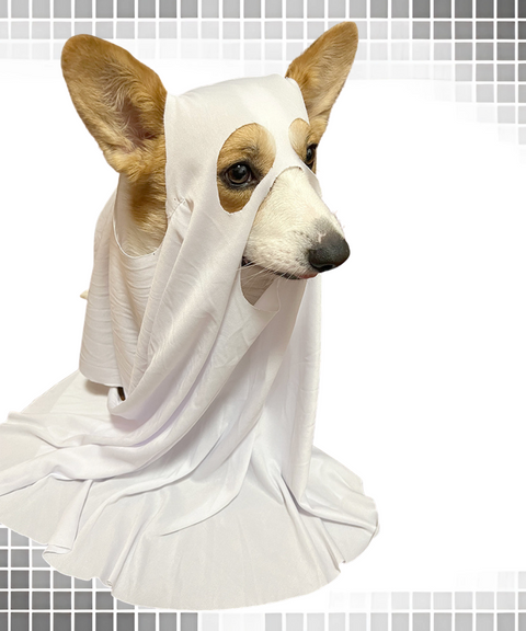 Halloween ghost dog cape hood