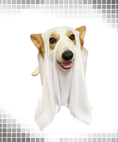 Halloween ghost dog cape hood