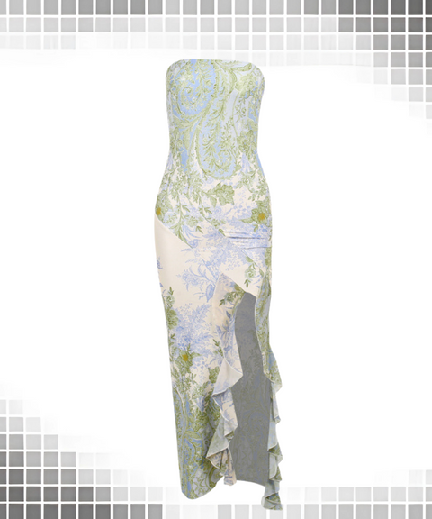Mesh Printed Dress