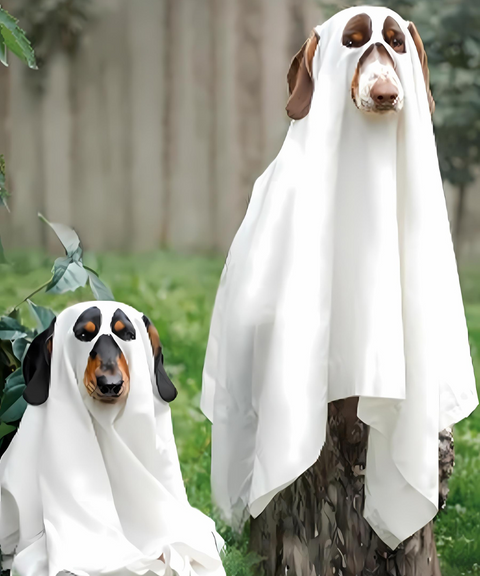 Halloween ghost dog cape hood