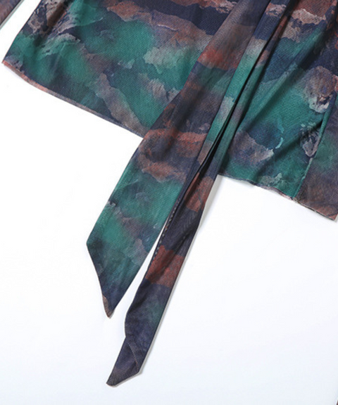 Short Mesh Printed Dress