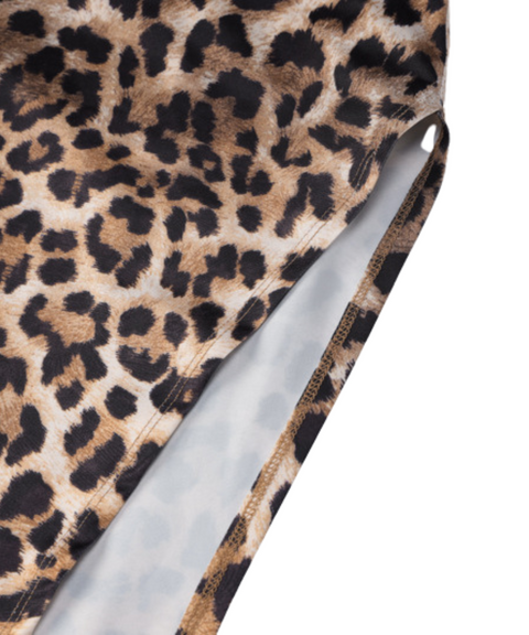 Slit Leopard Print Swing Dress