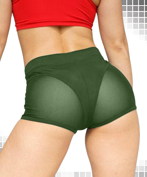 Women's Sexy Clothing, High-Waist Mesh Panel Stretch Yoga Shorts