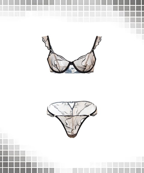 Women's Sexy Clothing, Sexy Thin Sheer Pure Desire Embroidered Bra & Panty Set, Nightout OOTD