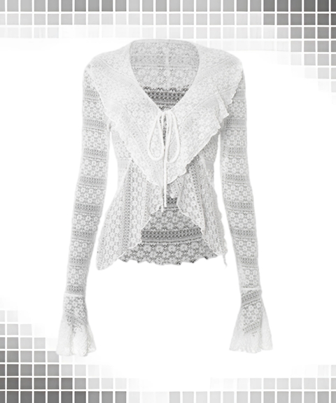 Solid Lace Trim Tie-Up Long Sleeve Sheer Blouse