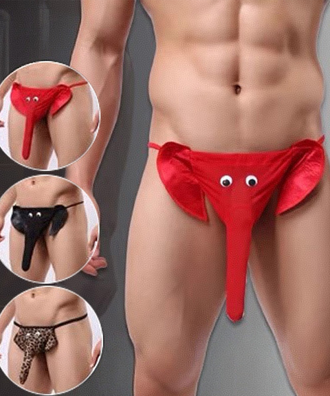 Men’s Sexy Clothing, Men’s Erotic Elephant Nose Thong T-Back Underwear, Nightout OOTD