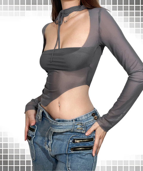 Cropped Mesh Long Sleeve T-Shirt