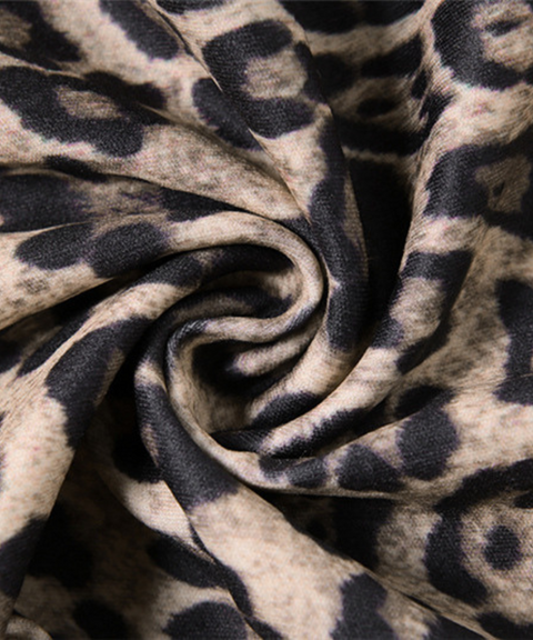 Off-Shoulder Leopard Tube Dress